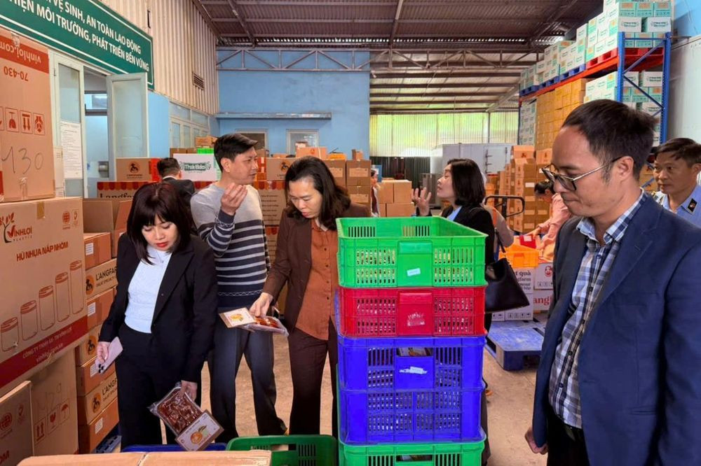 Đoàn kiểm tra Trung ương kiểm tra ATTP tại Lâm Đồng (Ảnh: TL)