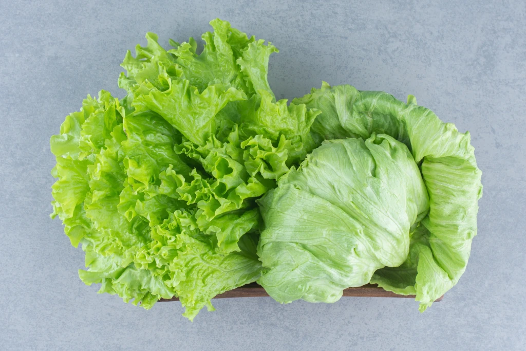 Xà lách giàu nước và chất xơ giúp no lâu (Ảnh: Sưu tầm)