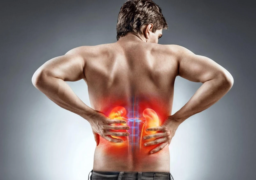 Cà tím có thể gây sỏi thận ở người có vấn đề về thận (Ảnh: Sưu tầm)