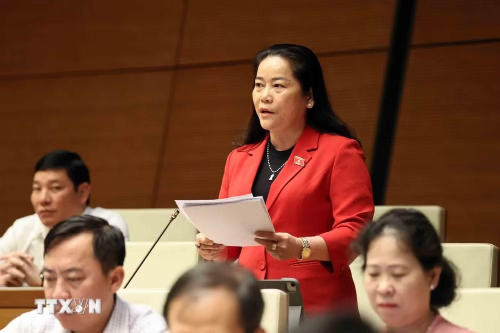 Đại biểu Quốc hội thành phố Cần Thơ Lê Thị Thanh Lam phát biểu. (Ảnh: An Đăng/TTXVN)