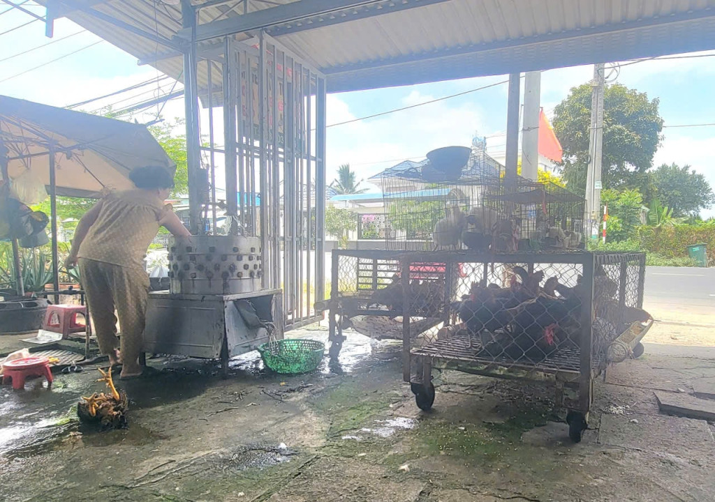 Theo kế hoạch, công tác hậu kiểm về ATTP sẽ tổ chức thực hiện kiểm tra tại các điểm giết mổ gia cầm nhỏ lẻ (Ảnh: TL)