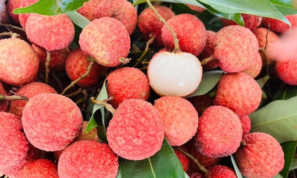 Vải chứa nhiều đường dễ gây tăng cân (Ảnh: Sưu tầm)