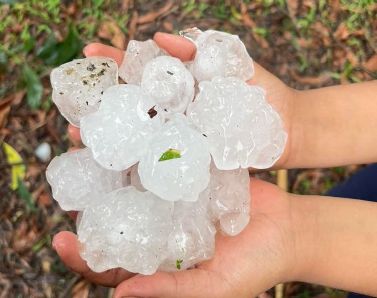 Nhiều hạt mưa đá kích thước bằng quả trứng gà, người dân xã Thành Bình Thọ nhặt được cả chậu (Ảnh: Người dân cung cấp)