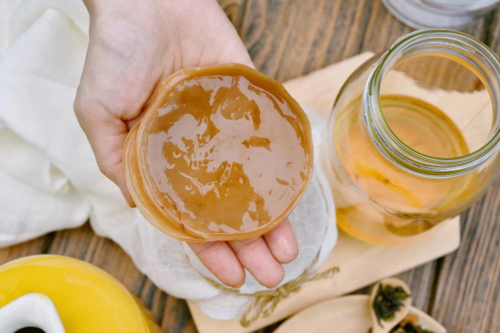 Nguyên liệu làm kombucha (Ảnh: Sưu tầm)