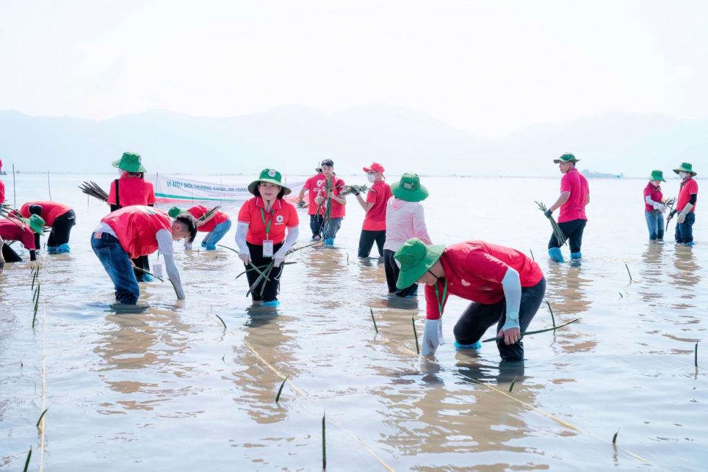 Tuần lễ Quốc gia phòng, chống thiên tai 2026 diễn ra từ ngày 15-22/5 với chủ đề “Cộng đồng chung tay phòng, chống thiên tai” (Ảnh minh họa)
