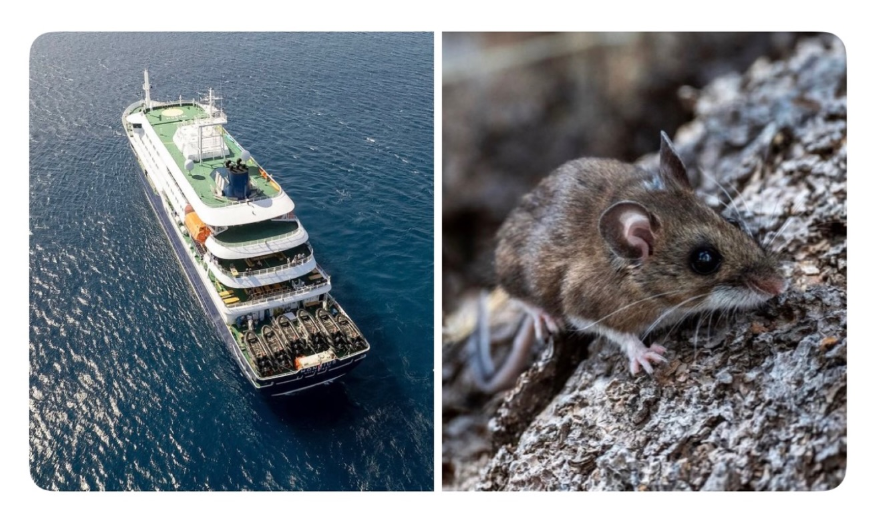 Tàu du lịch MV Hondius bị ảnh hưởng bởi dịch bệnh do virus hantavirus gây ra đang neo đậu ngoài khơi cảng Praia, thủ đô của Cape Verde