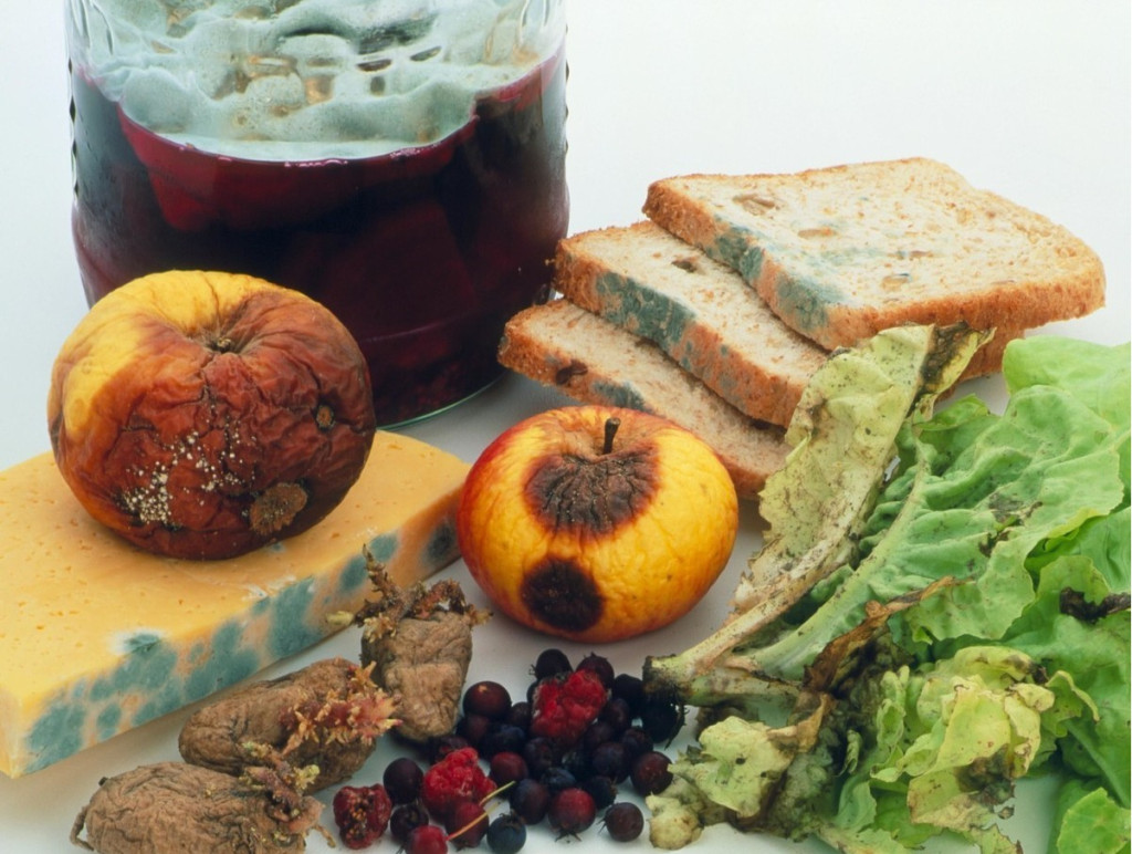 Thực phẩm dễ bị hư trong mùa nóng (Ảnh: Sưu tầm)