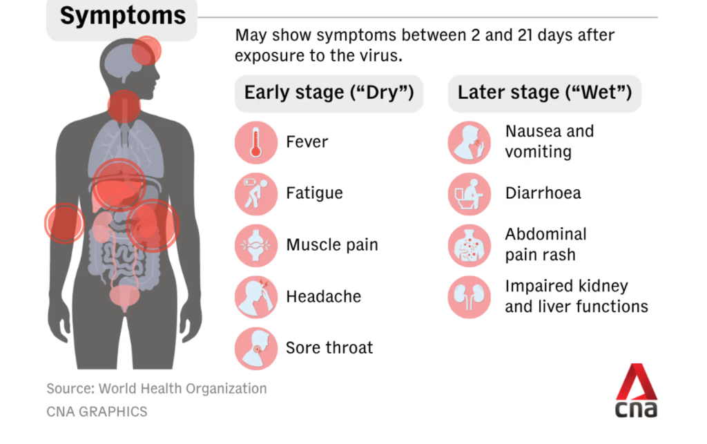 Đồ họa mô tả các triệu chứng thường gặp của bệnh Ebola, từ giai đoạn đầu với biểu hiện sốt, đau đầu, đau cơ đến giai đoạn nặng hơn với nôn mửa, tiêu chảy và suy giảm chức năng gan, thận. Triệu chứng có thể xuất hiện sau 2-21 ngày kể từ khi phơi nhiễm virus. Nguồn: Tổ chức Y tế thế giới (Đồ hoạ: CNA)