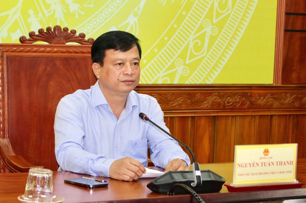 Ông Nguyễn Tuấn Thanh, Phó Chủ tịch Thường trực UBND tỉnh Gia Lai, phát biểu chỉ đạo tại cuộc họp (Ảnh: Ngọc Minh)