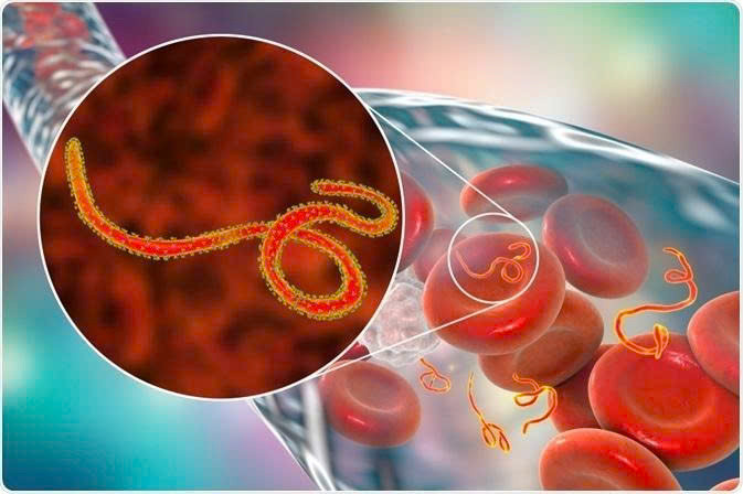 Dịch bệnh Ebola tiếp tục diễn biến phức tạp