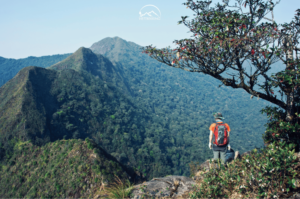 Trekking đòi hỏi đầu gối chịu lực lớn kéo dài khi leo, xuống dốc (Ảnh: Sưu tầm)