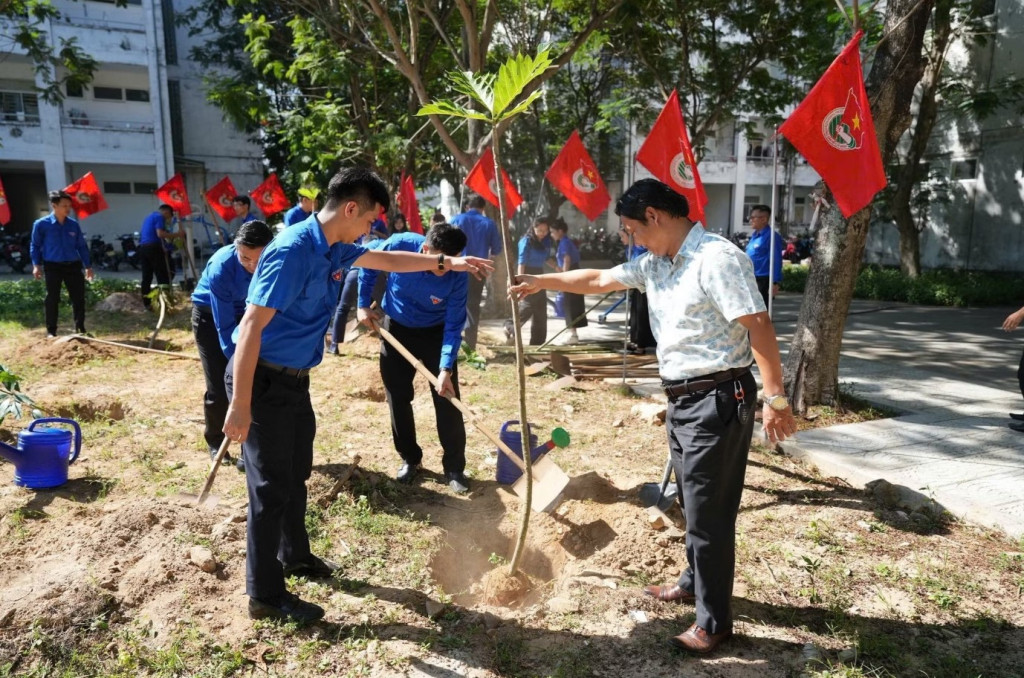 Lực lượng thanh niên thành phố Đà Nẵng trồng cây xanh (Ảnh: Khoa Chương/TTXVN)