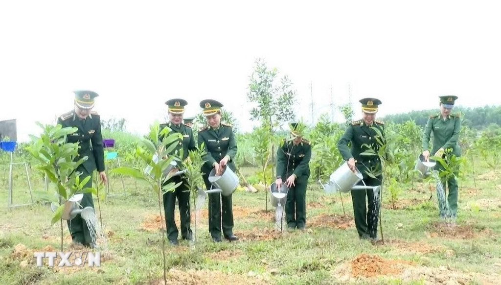 Mỗi cây xanh được trồng hôm nay chính là gieo mầm tương lai, góp phần bảo vệ môi trường sinh thái, phòng, chống thiên tai và thích ứng với biến đổi khí hậu (Ảnh: Võ Dung/TTXVN)