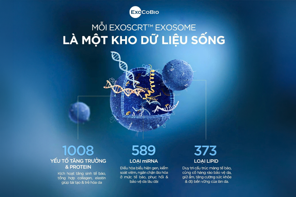 Exosome của Exocobio mang đến khả năng tái dạo da cấp độ tế bào nhờ nền tảng khoa học vững chắc