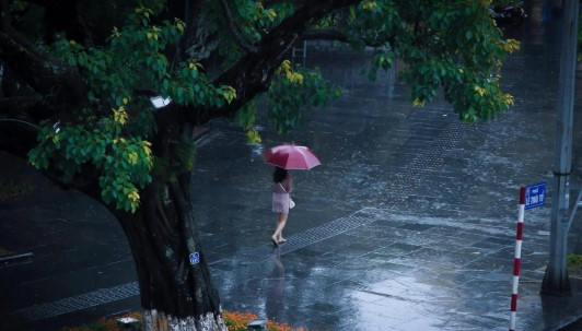 Ảnh minh hoạ
