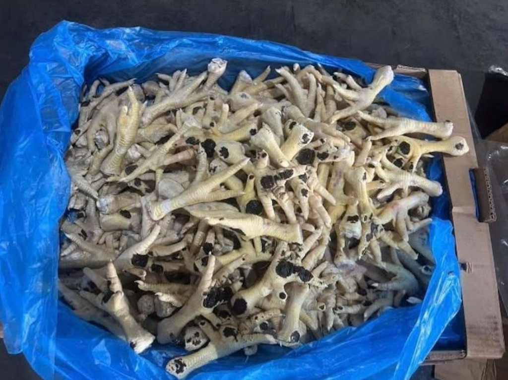 Hàng nghìn tấn chân gà đông lạnh bị phát hiện, thu giữ (Ảnh: CACC)