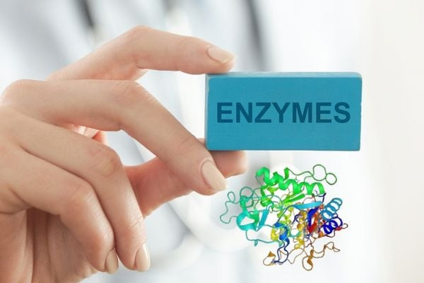 tra-enzyme-va-sinh-luc-1