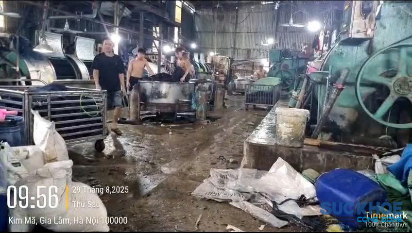 z7964769507388-5c8da44037cf91232f520b97c8c48a22