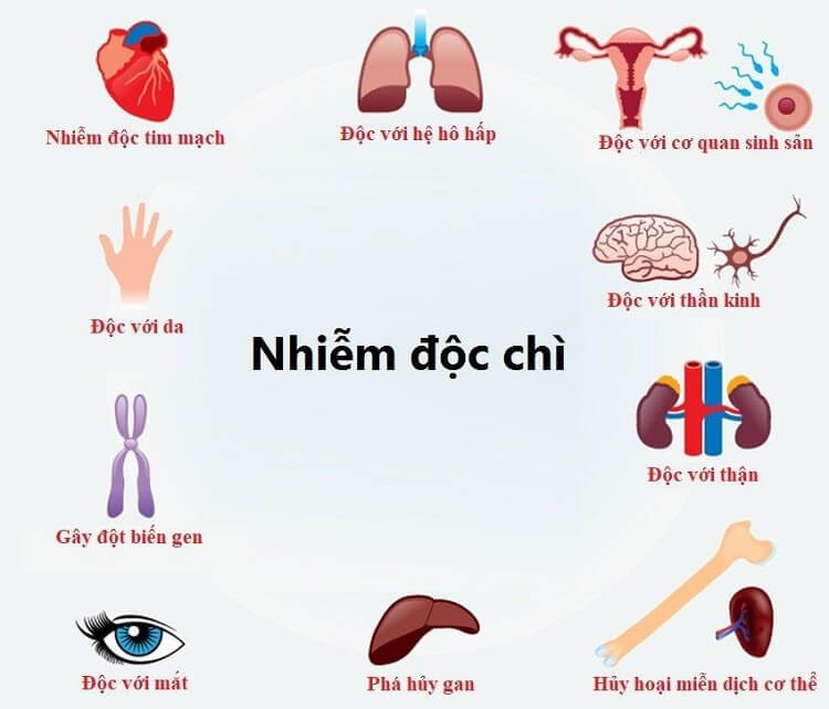 ngo-doc-chi-2