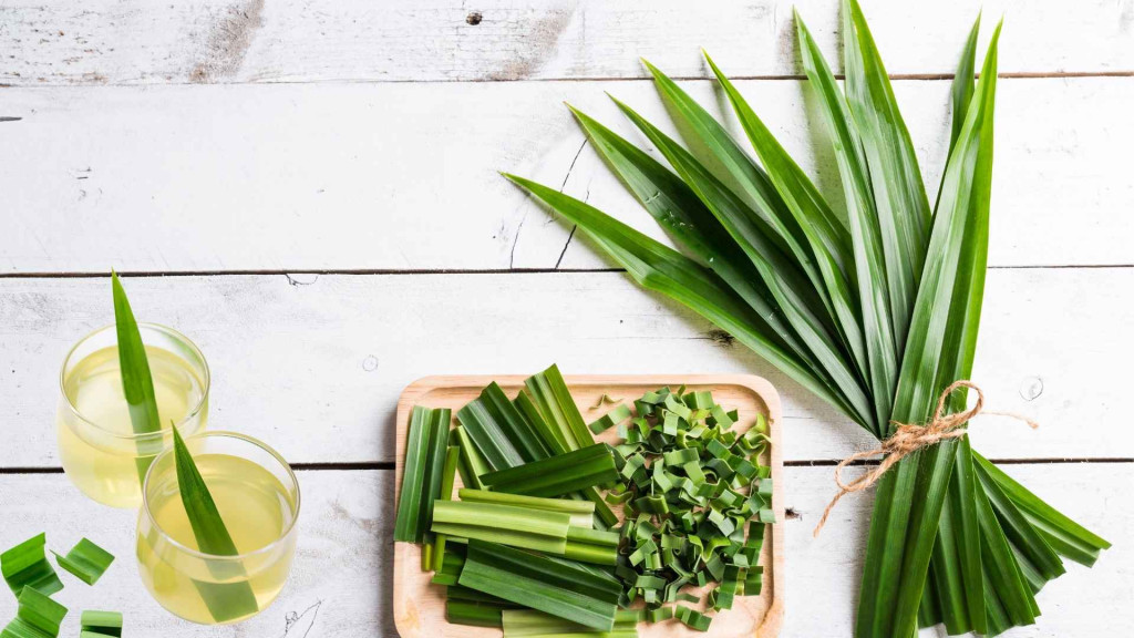 Nước lá dứa dùng để xông giải cả (Ảnh: Sưu tầm)