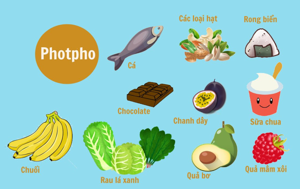 Các thực phẩm giàu phospho (Ảnh: Sưu tầm)