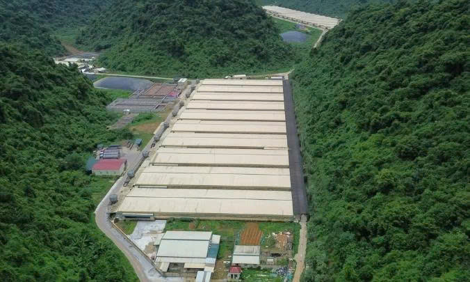 dabaco-thanh-hoa