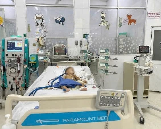 Cuộc chiến dành lại sự sống cho bé 14 tháng tuổi bị ong đốt (Ảnh: Bệnh viện Nhi đồng Đồng Nai)