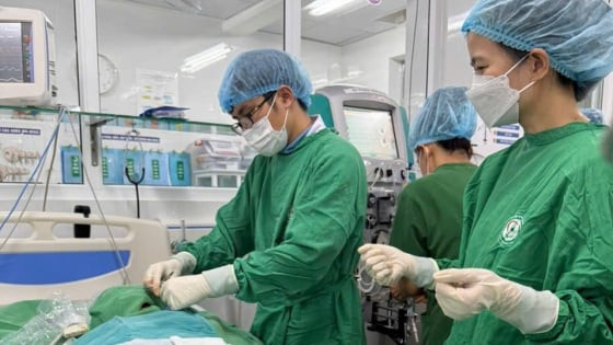 Cứu sống bệnh nhi nguy kịch nhiễm trùng huyết não mô cầu thể tối cấp