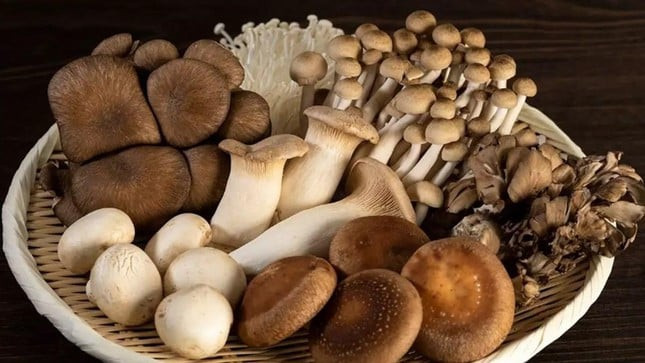 Những lý do nên ăn nấm thường xuyên để tăng cường sức khỏe