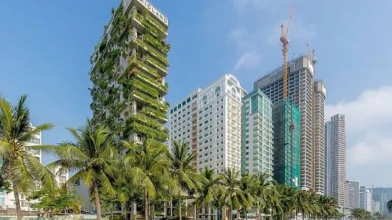 Vi phạm quy định về bảo vệ môi trường và an toàn thực phẩm: Khách sạn Chicland Đà Nẵng bị "tuýt còi"