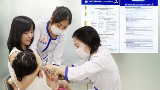 Việt Nam triển khai vaccine thế hệ mới phòng cùng lúc 4 bệnh truyền nhiễm