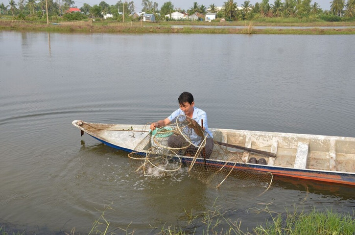 Chuyển đổi sản xuất nông nghiệp thích ứng biến đổi khí hậu