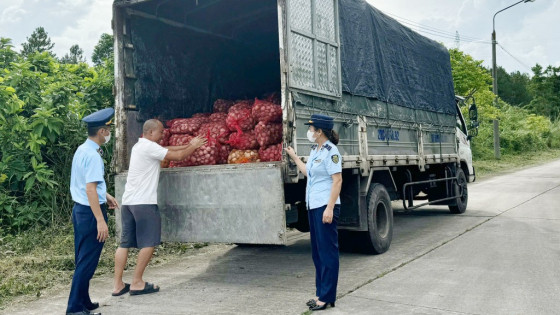 Quảng Ninh: Tăng cường kiểm soát, xử lý hàng thủy sản nhập lậu