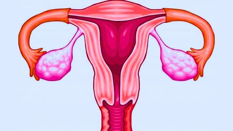 Vitamin E và những tác dụng đối với buồng trứng