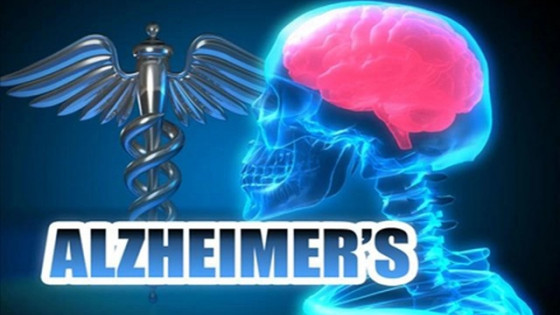 Phát hiện cơ chế giúp não tự làm sạch, mở ra hy vọng chữa Alzheimer