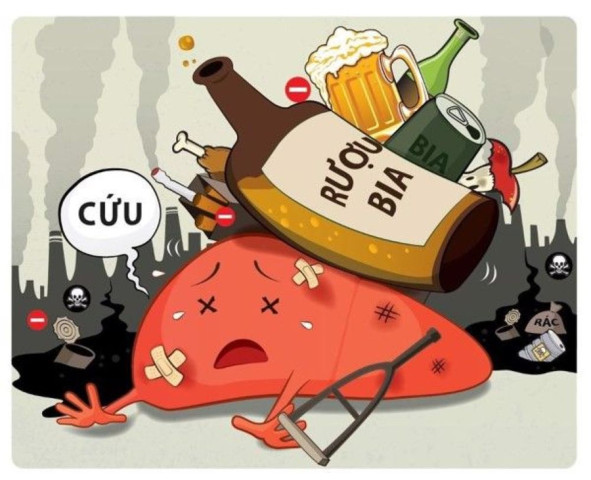 Tác hại của rượu bia đối với gan: Làm gì để bảo vệ gan của bạn?