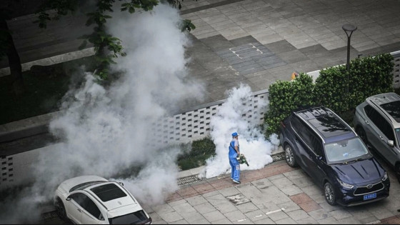 Bộ Y tế yêu cầu giám sát dịch bệnh Chikungunya ngay tại cửa khẩu