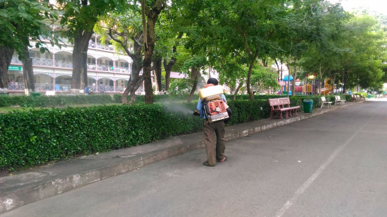 TP Hồ Chí Minh có số ca tử vong do sốt xuất huyết cao nhất khu vực phía Nam