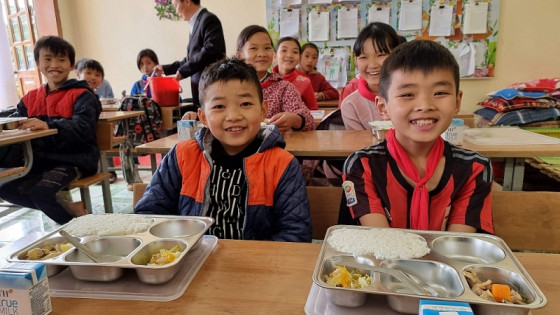 Cần khung pháp lý toàn diện về dinh dưỡng và dinh dưỡng học đường