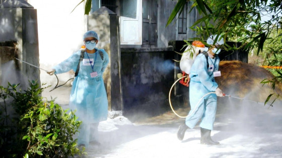 Liên cầu lợn ở người tăng đột biến, TP. Huế khuyến cáo phòng tránh