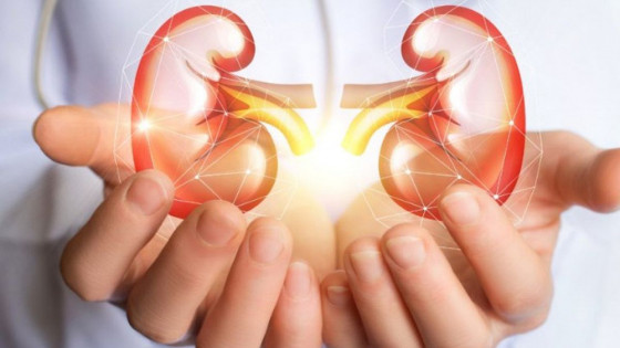 Đại hội đồng Y tế Thế giới thông qua các nghị quyết về sức khỏe phổi và thận: Cơ hội vàng cho Việt Nam