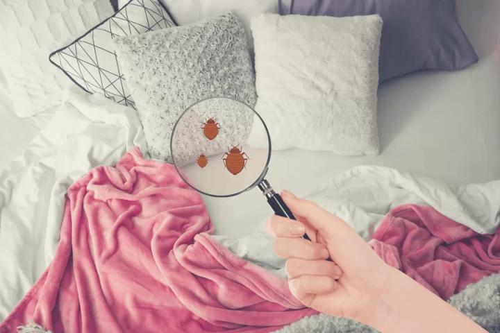 Vì sao người dễ dị ứng nên đầu tư vào nệm than hoạt tính?