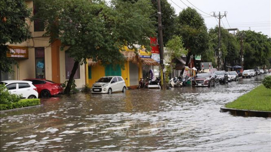 Ninh Bình tập trung phòng, chống, khắc phục hậu quả thiên tai