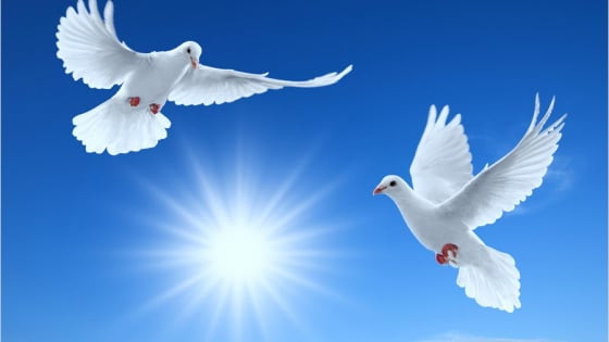 Cô gái tháng 9 và tiếng nói trẻ về giá trị hòa bình, thời bình