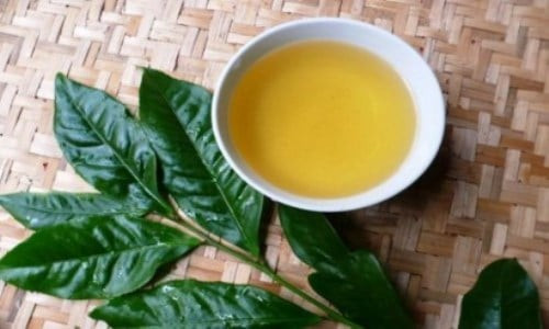 Có nên uống nước lá vối để qua đêm không?