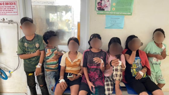9 học sinh Gia Lai nhập viện nghi ngộ độc sau khi ăn thịt cóc