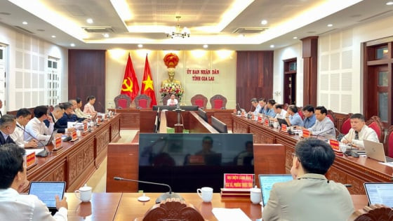 Chủ tịch UBND tỉnh Gia Lai chỉ đạo “nóng” vụ “khai thác” keo tại rừng trồng của Công ty Phúc Phong