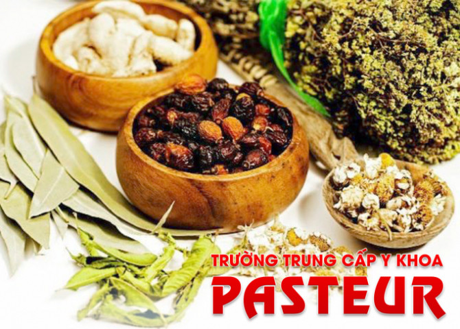 Học Đông Y ở đâu tốt và những điều cần biết về Y học cổ truyền?