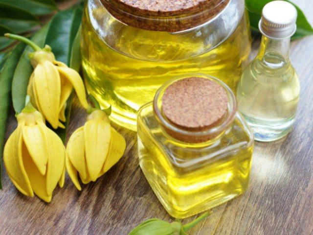 Những lợi ích bất ngờ từ tinh dầu lan tây