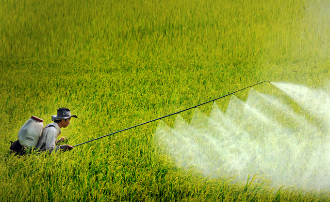 Sửa đổi Kế hoạch xử lý, phòng ngừa ô nhiễm môi trường do hóa chất bảo vệ thực vật tồn lưu